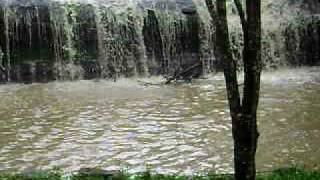fotos cachoeira(20012008 026.avi