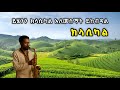 ዘመን ተሻጋሪ ክላሲካሎች Best Ethiopian Non Stop Collection Classical Music Instrumental