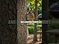 The Sneaky Squirrel: Dance of the Nut Thief