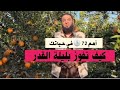 ليلة القدر كيف تفوز بها اهم ثلاث حاجات لازم تعملهم