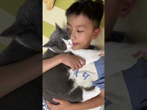 Discover Why My Kitten Adores His Brother So Much - Nonstop Cuteness! 😅...