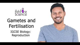 Gametes And Fertilisation - Igcse Gcse 9-1 Biology