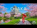 Osaka in Spring, Japan 4K - Relaxing Music With Beautiful Natural Landscape