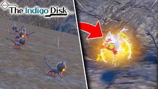 How To Find Shiny Litten In Pokemon Violet Best Location Shown Indigo Disk Dlc