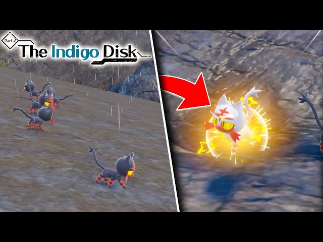 HOW TO FIND SHINY LITTEN IN POKEMON VIOLET! Best Location Shown / Indigo  Disk DLC - YouTube