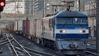 【4K高画質】【東海道旅客線迂回貨物】JR貨物EF210形100番台134号機〔新〕（新塗装）＋コキ20両が横浜駅7番線を低速通過するシーン（う1066レ・岡A402・コンテナ輸送）2026.2.3