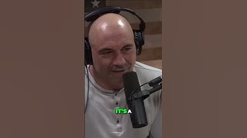 Unlocking the Secret to Happiness Balancing Success and Life-naval Ravikant|| Joe Rogan