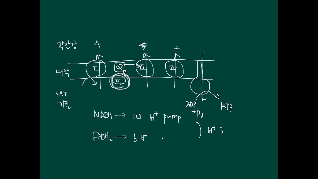 67. 고급 생물학 - 전자전달계
