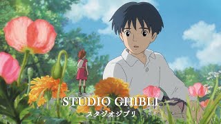 Greatest Studio Ghibli Soundtracks🎵 Spirited Away, My Neighbor Totoro| relax, study, sleep