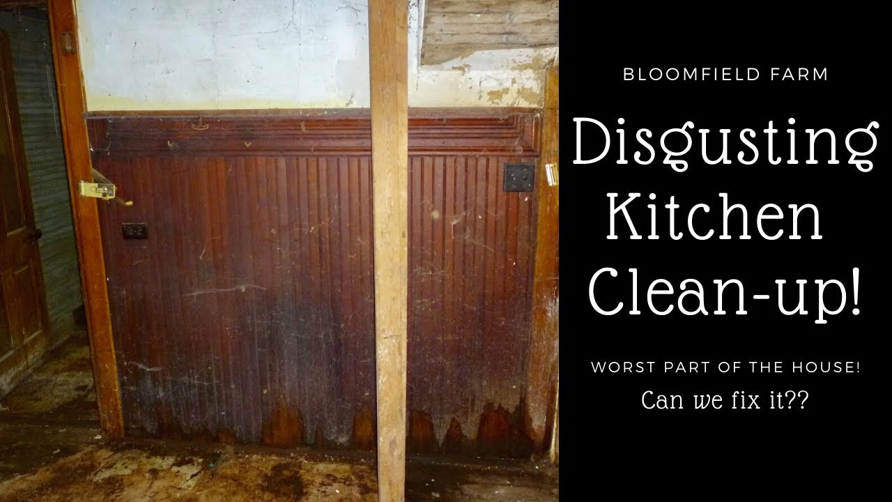 Disgusting Kitchen Cleanup! Cleaning out years of filth!! YouTube