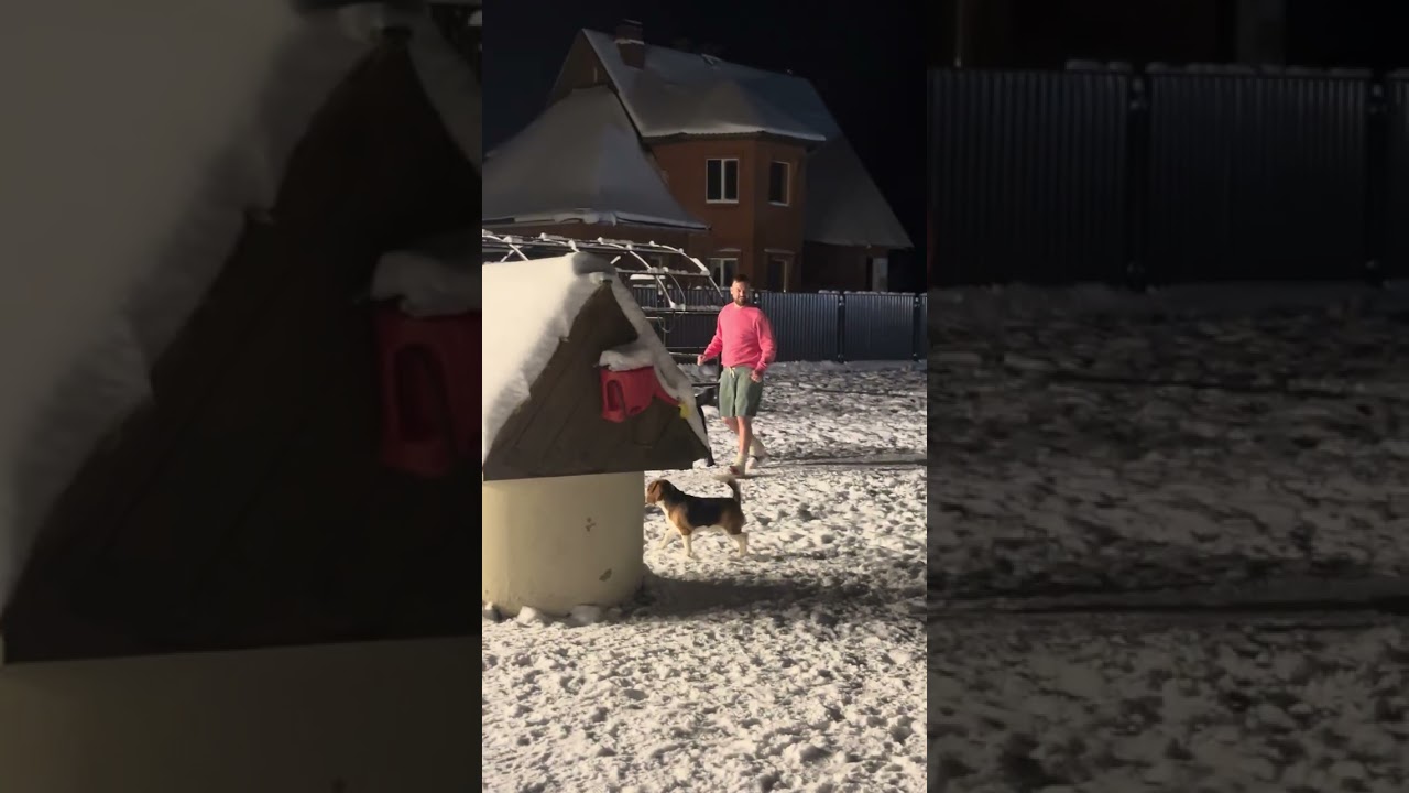 Выпросил у мамки Хэннэси домой 🥰❤️