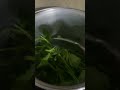 #Ginisang #Kangkong #Yummy #delicious #trending #shorts