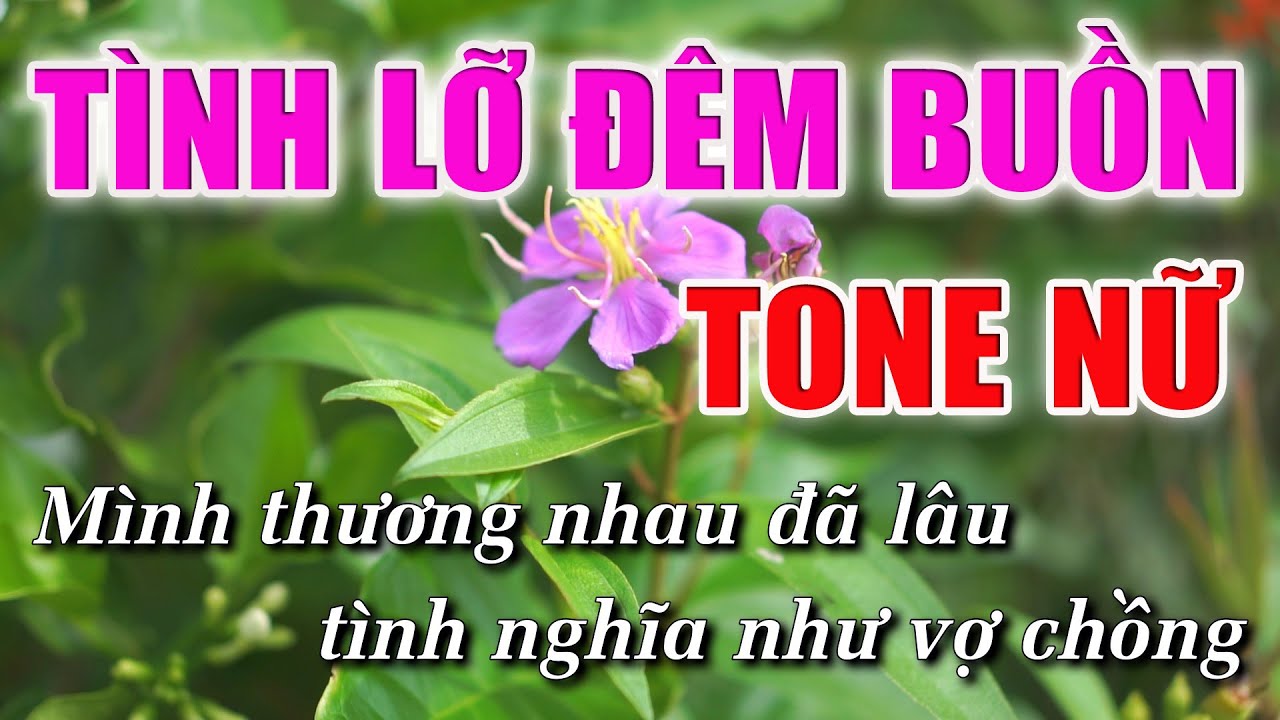 Tình Lỡ Đêm Buồn Karaoke Tone Nữ - Nhạc Sống 1990