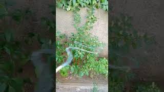 Su Lama Sesi Insana Huzur Veriyor. Huzurla Kalın.