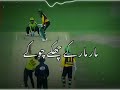 Multan Sultan official Anthem 2021   Multan Sultan New Song   Pakistan Super League   Hamza Writes