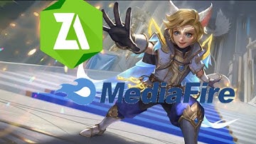 script skin harity lightborn no password