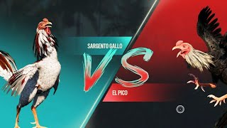 Combat De Coqs En Mode Street Fighter Sargento Gallo Vs El Pico Gameplay Far Cry 6