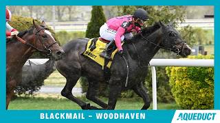 Blackmail - 2026- Woodhaven