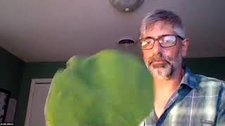 Botany lab video 2: Intro to plant identification using a key.