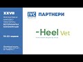 Heel Vet: Що таке біорегуляційна ветеринарна медицина?