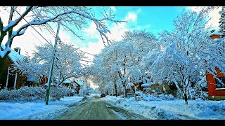 It's Montreal's first snow - 2023