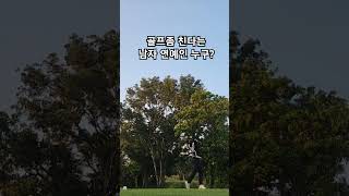 필드나갔다면 싱글치는 남자연예인 누구일까요?