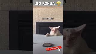 Смешные моменты🤣🤣Неудачные моменты🤣🤣#юмор #смех #fun #jokes #приколы