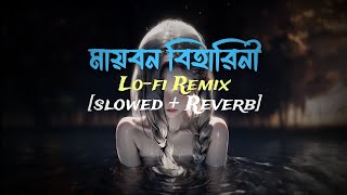 Mayabono Biharini Horini (মায়াবন বিহারিনী) lo-fi Remix 🎶 | Somlata | (রবীন্দ্র সংগীত) Lyrics Video