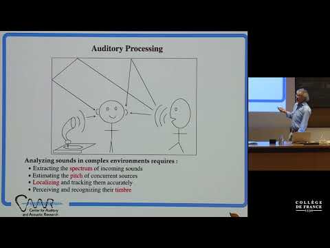 Modèles Multi échelles Et Réseaux De Neurones Convolutifs 12 Stéphane Mallat 2019 2020
