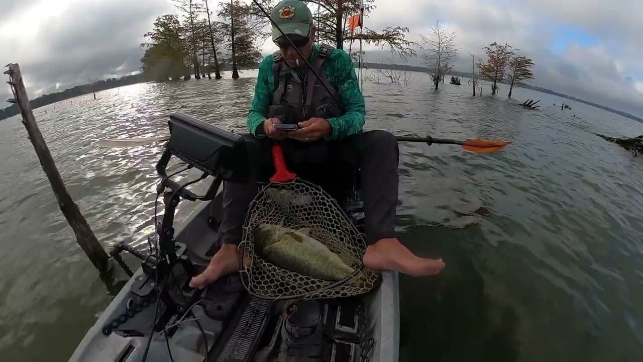 10lb Bass from Kayak at Bussey Brake