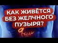 Жизнь без желчного пузыря / Как питаться при удалённом желчном пузыре?