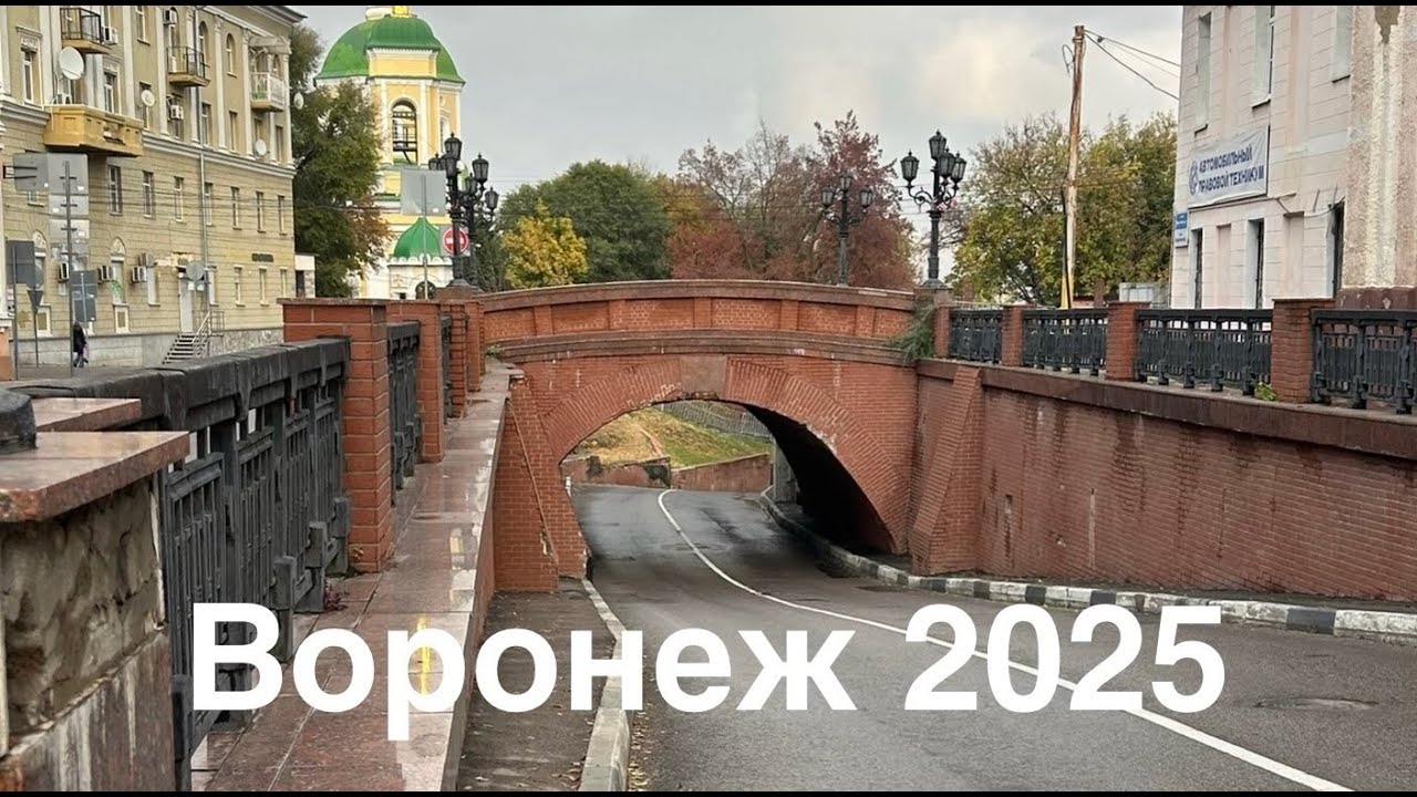 В Воронеж на выходные. Положили в больницу в Воронеже! Обзор города.