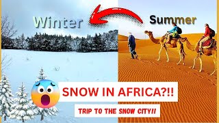 Snow in Africa?! Our Unexpected Winter Trip to Morocco
