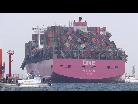 Malditos (benditos) buques neoliberales de carga de transporte marítimo /Roja, En Vivo