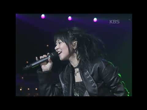 체리필터(Cherry Filter) - 낭만고양이 [윤도현의 러브레터] | KBS 20040130 방송