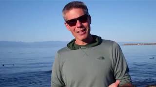 Grateful Dead  Seaside Chat: David Lemieux on Giants Stadium