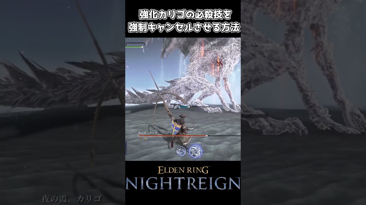 強化カリゴの必殺技（氷の柱）を出させない方法【エルデンリング ナイトレイン】
