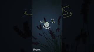 Download Lagu #alquran the beautiful Holy Quran recitation #alquranRR MP3