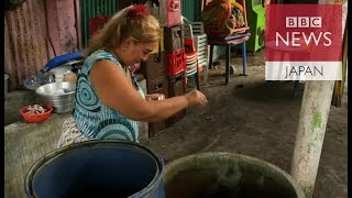 ジカ予防に魚が活躍か