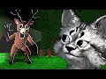 500 Gece Hayatta Kalmaya Çalıştık | 99 Nights İn the Forest