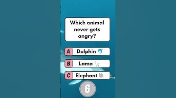 USA Quiz Challenge: Test Your Knowledge with These Questions! #usa #usashorts #usaquiz #usatrending
