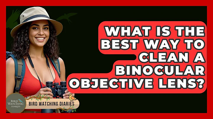 What Is The Best Way To Clean A Binocular Objective Lens? - Bird Watching Diaries