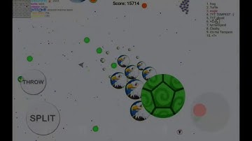 Blob teaming//popspilt//spiltrunning//double spilt