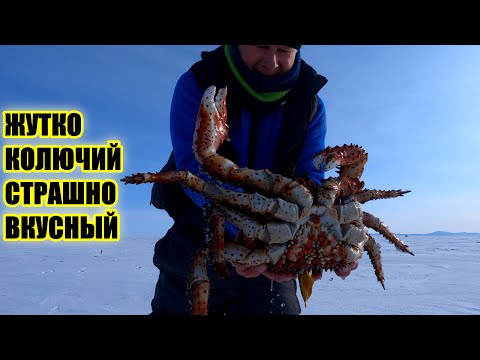 Video: Краб таякчасынан котлеттерди кантип жасоого болот