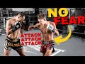 5 ways to attack without fear  quit being gun shy