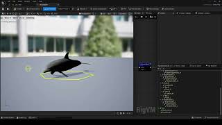 UE Dolphin rig