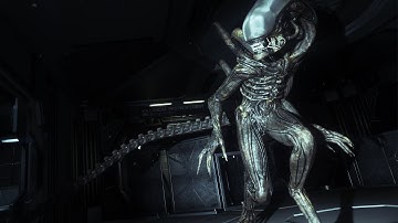 How Did The Alien Not See Me? Alien Isolation