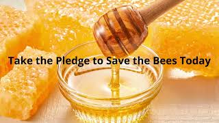 Bee The Change