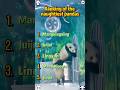 The mischievous king appears #panda #cute #cutepanda #trending