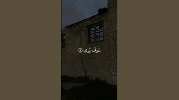 ﴿وَأَن لَيسَ لِلإِنسانِ إِلّا ما سَعى﴾  القارئ غيث سمرين